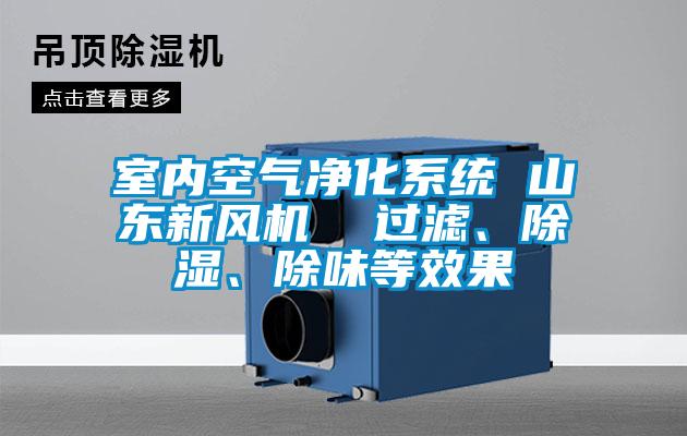 室內空氣凈化系統 山東新風(fēng)機  過(guò)濾、除濕、除味等效果