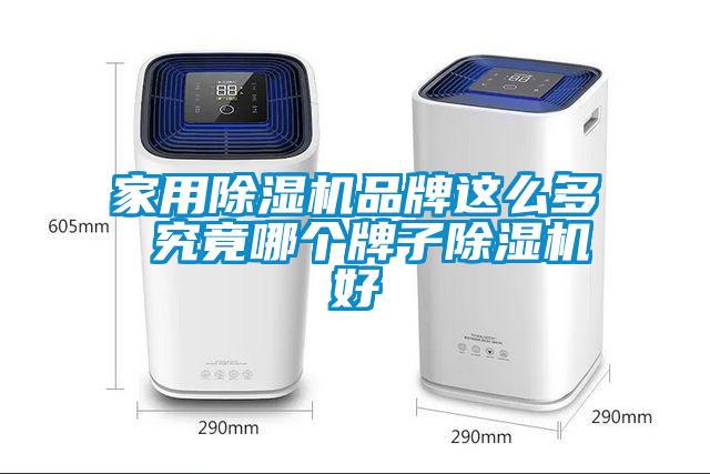 家用除濕機品牌這么多 究竟哪個(gè)牌子除濕機好