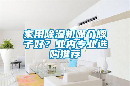 家用除濕機哪個(gè)牌子好？業(yè)內專(zhuān)業(yè)選購推薦
