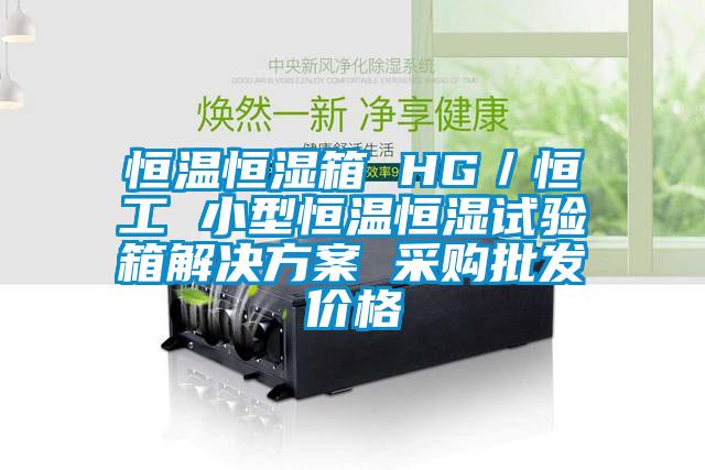 恒溫恒濕箱 HG／恒工 小型恒溫恒濕試驗箱解決方案 采購批發(fā)價(jià)格