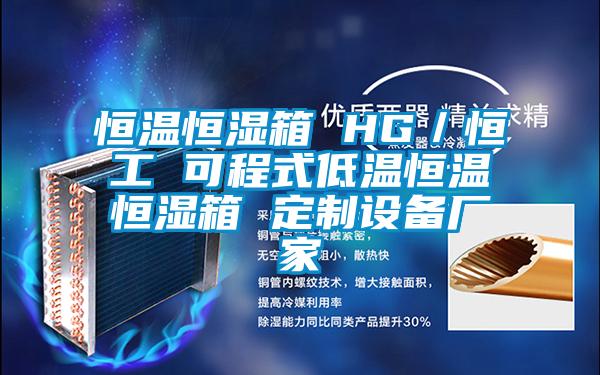 恒溫恒濕箱 HG／恒工 可程式低溫恒溫恒濕箱 定制設備廠(chǎng)家
