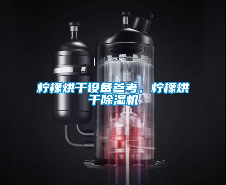 檸檬烘干設備參考，檸檬烘干除濕機