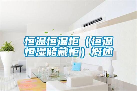 恒溫恒濕柜（恒溫恒濕儲藏柜）概述