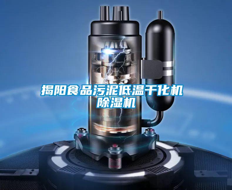 揭陽(yáng)食品污泥低溫干化機 除濕機
