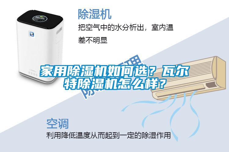家用除濕機如何選？瓦爾特除濕機怎么樣？
