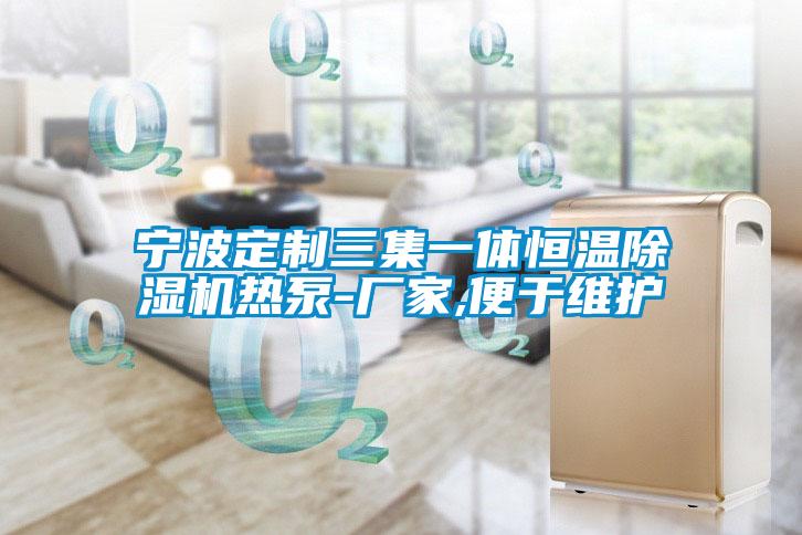 寧波定制三集一體恒溫除濕機熱泵-廠(chǎng)家,便于維護