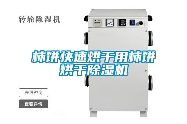 柿餅快速烘干用柿餅烘干除濕機