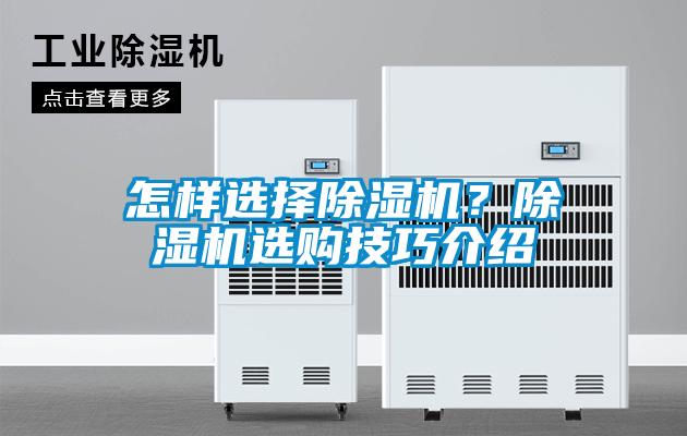 怎樣選擇除濕機？除濕機選購技巧介紹