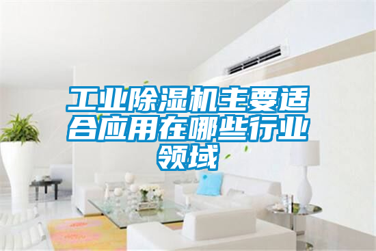 工業(yè)除濕機主要適合應用在哪些行業(yè)領(lǐng)域