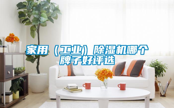 家用（工業(yè)）除濕機哪個(gè)牌子好評選