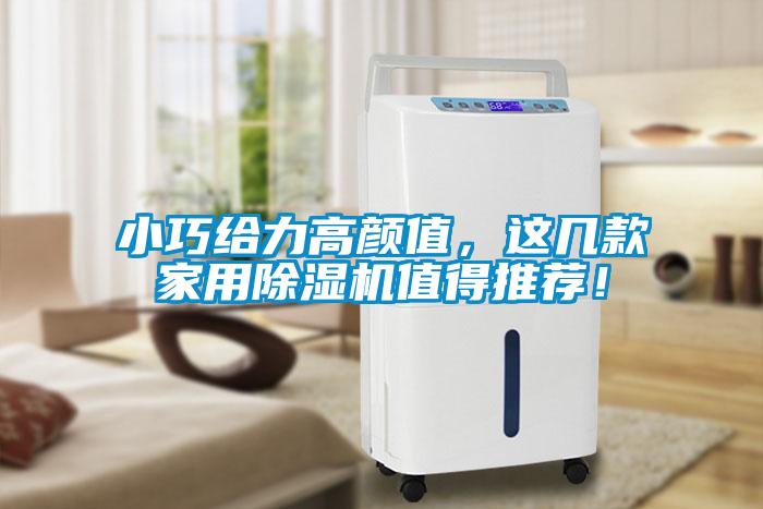 小巧給力高顏值，這幾款家用除濕機值得推薦！