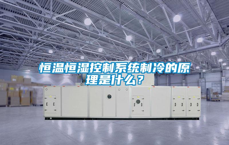 恒溫恒濕控制系統制冷的原理是什么？