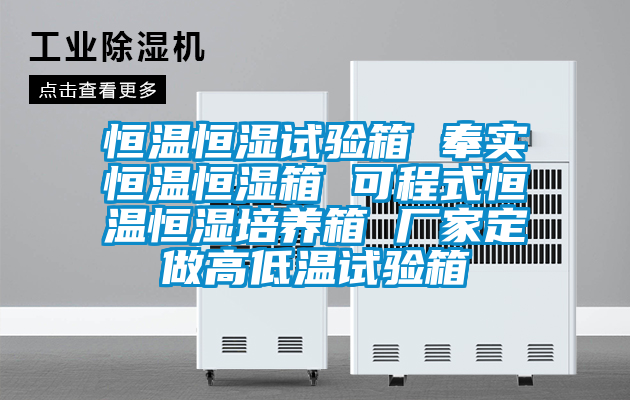 恒溫恒濕試驗箱 奉實(shí)恒溫恒濕箱 可程式恒溫恒濕培養箱 廠(chǎng)家定做高低溫試驗箱