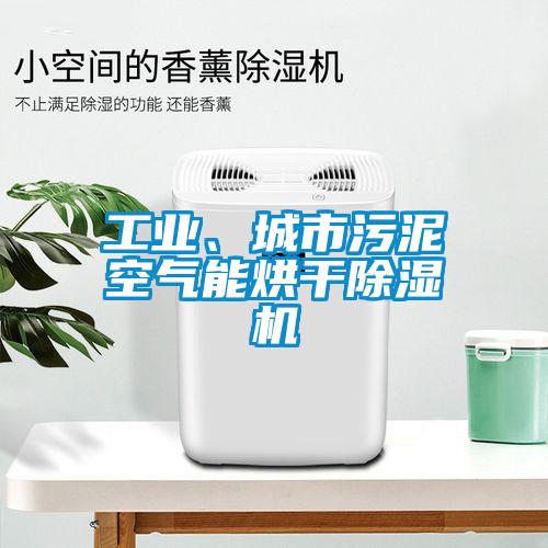 工業(yè)、城市污泥空氣能烘干除濕機