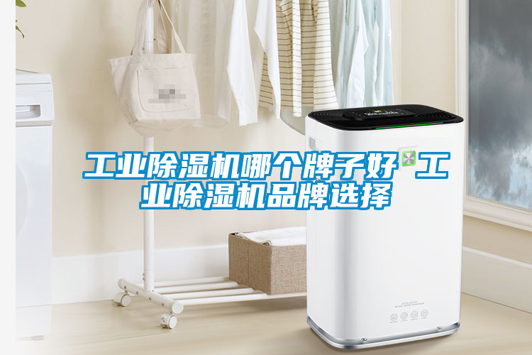 工業(yè)除濕機哪個(gè)牌子好 工業(yè)除濕機品牌選擇
