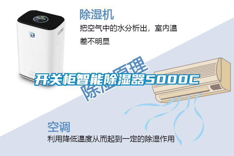 開(kāi)關(guān)柜智能除濕器5000C