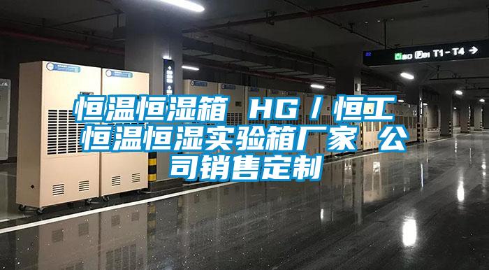 恒溫恒濕箱 HG／恒工 恒溫恒濕實(shí)驗箱廠(chǎng)家 公司銷(xiāo)售定制