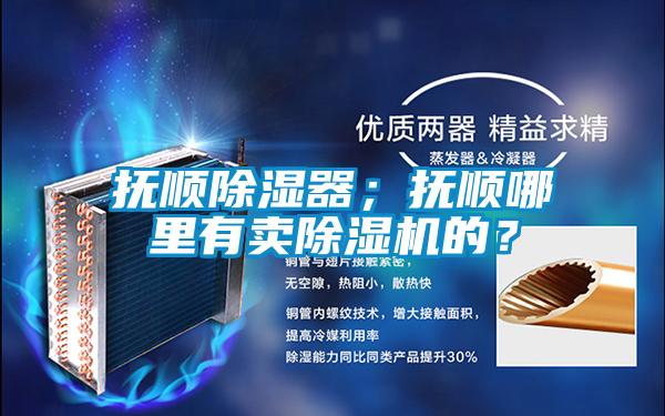 撫順除濕器；撫順哪里有賣(mài)除濕機的？