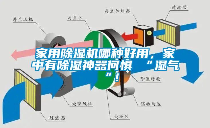 家用除濕機哪種好用，家中有除濕神器何懼 “濕氣 “！