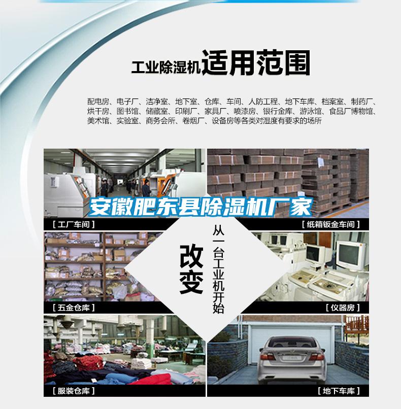安徽肥東縣除濕機廠(chǎng)家