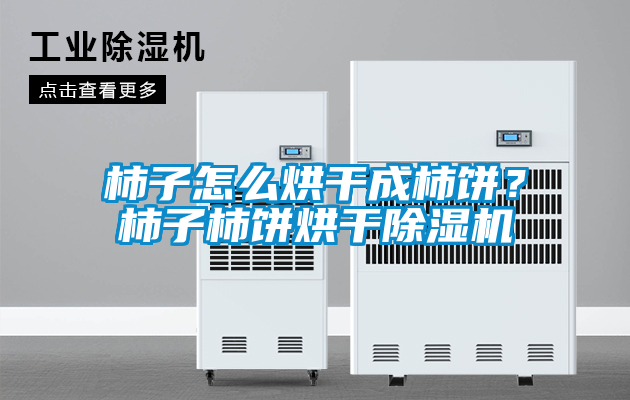 柿子怎么烘干成柿餅？柿子柿餅烘干除濕機