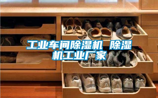 工業(yè)車(chē)間除濕機 除濕機工業(yè)廠(chǎng)家