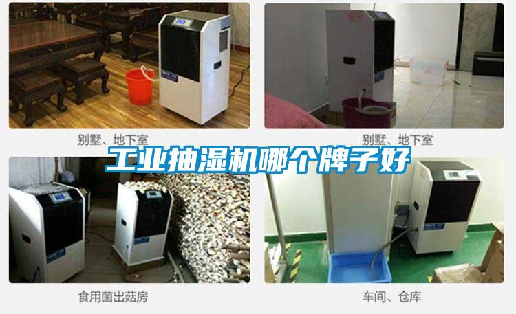工業(yè)抽濕機哪個(gè)牌子好