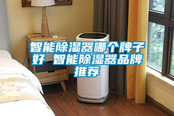 智能除濕器哪個(gè)牌子好 智能除濕器品牌推薦