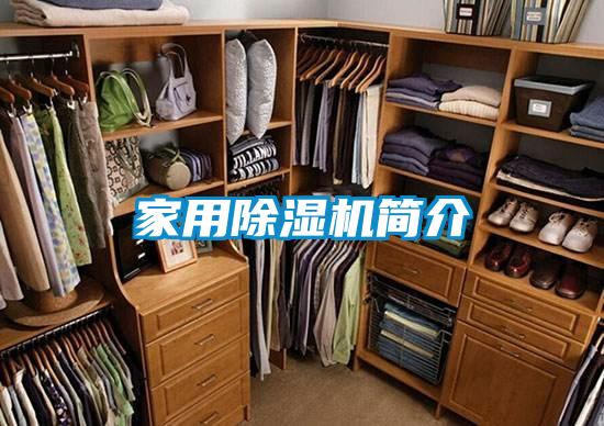 家用除濕機簡(jiǎn)介