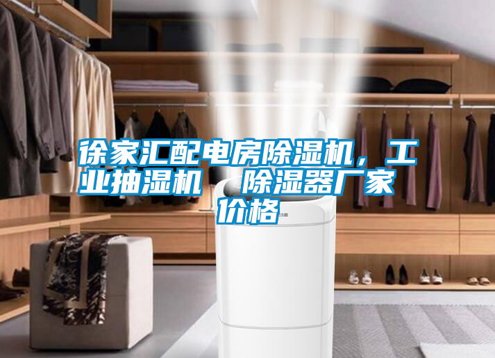 徐家匯配電房除濕機，工業(yè)抽濕機  除濕器廠(chǎng)家 價(jià)格