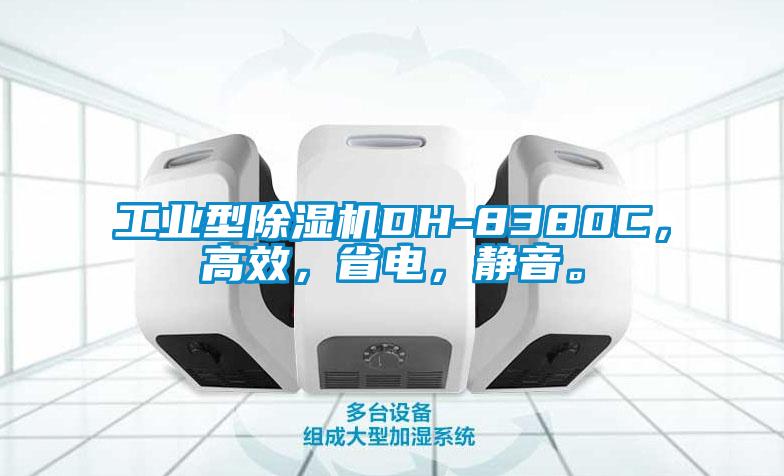 工業(yè)型除濕機DH-8380C，高效，省電，靜音。