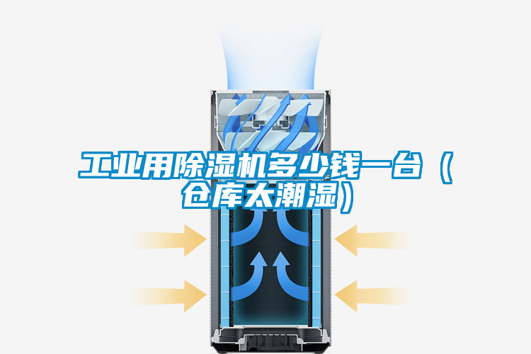 工業(yè)用除濕機多少錢(qián)一臺（倉庫太潮濕）