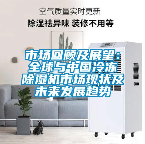 市場(chǎng)回顧及展望：全球與中國冷凍除濕機市場(chǎng)現狀及未來(lái)發(fā)展趨勢