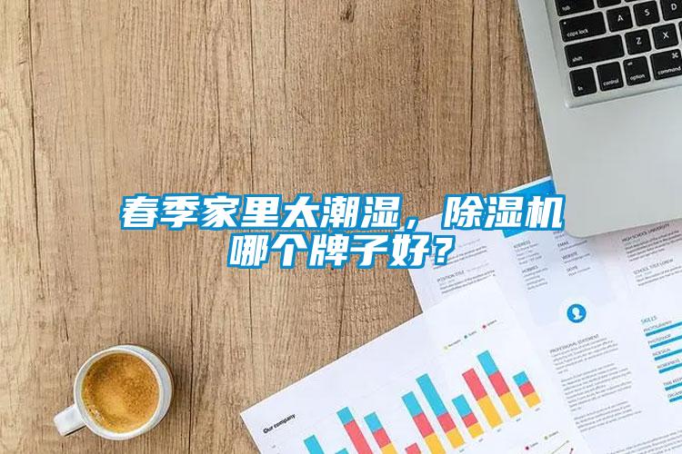 春季家里太潮濕，除濕機哪個(gè)牌子好？
