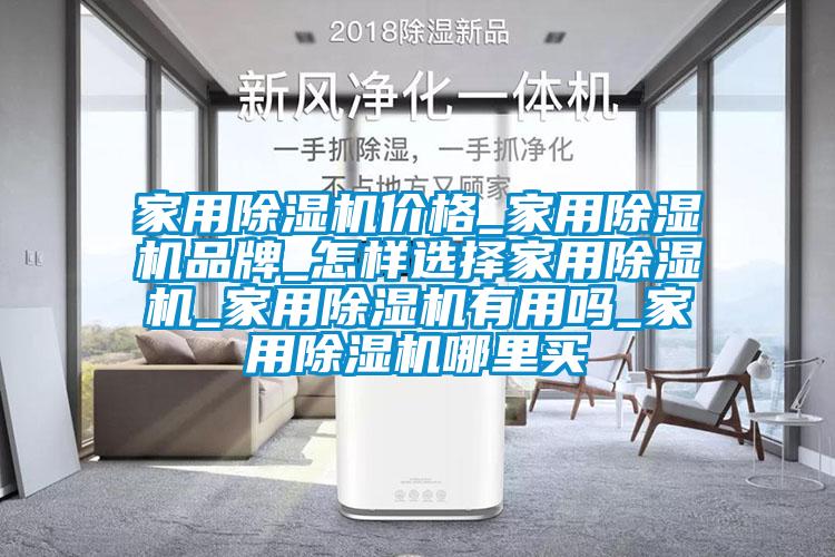 家用除濕機價(jià)格_家用除濕機品牌_怎樣選擇家用除濕機_家用除濕機有用嗎_家用除濕機哪里買(mǎi)