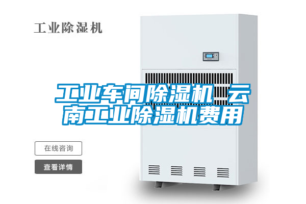 工業(yè)車(chē)間除濕機 云南工業(yè)除濕機費用