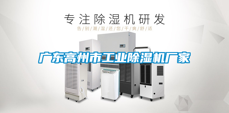 廣東高州市工業(yè)除濕機廠(chǎng)家