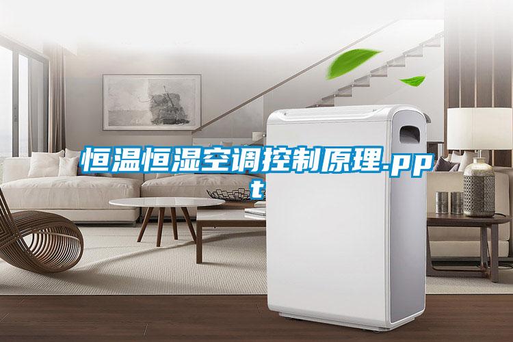 恒溫恒濕空調控制原理.ppt