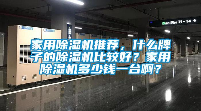 家用除濕機推薦，什么牌子的除濕機比較好？家用除濕機多少錢(qián)一臺??？