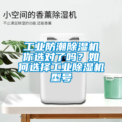 工業(yè)防潮除濕機你選對了嗎？如何選擇工業(yè)除濕機型號