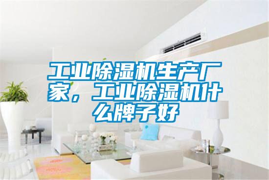 工業(yè)除濕機生產(chǎn)廠(chǎng)家，工業(yè)除濕機什么牌子好