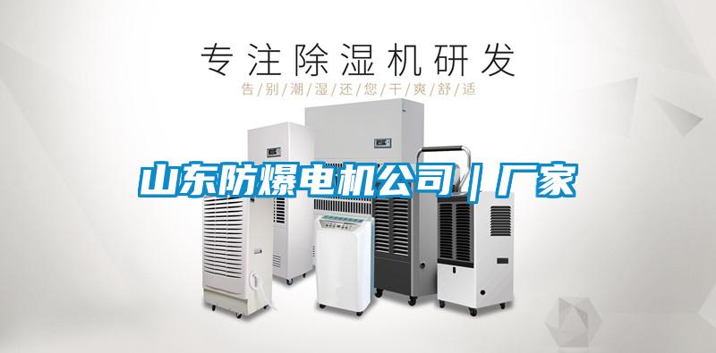 山東防爆電機公司｜廠(chǎng)家