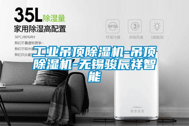 工業(yè)吊頂除濕機-吊頂除濕機-無(wú)錫駿辰祥智能