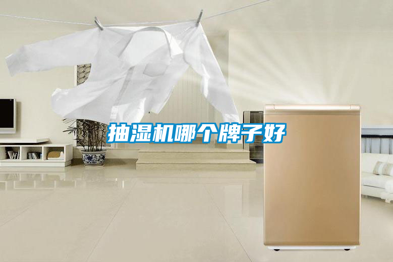 抽濕機哪個(gè)牌子好
