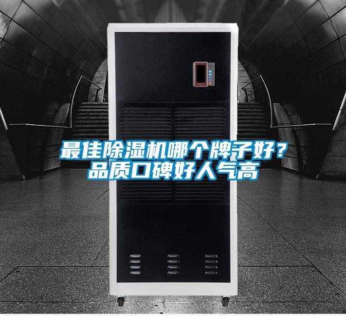 最佳除濕機哪個(gè)牌子好？品質(zhì)口碑好人氣高