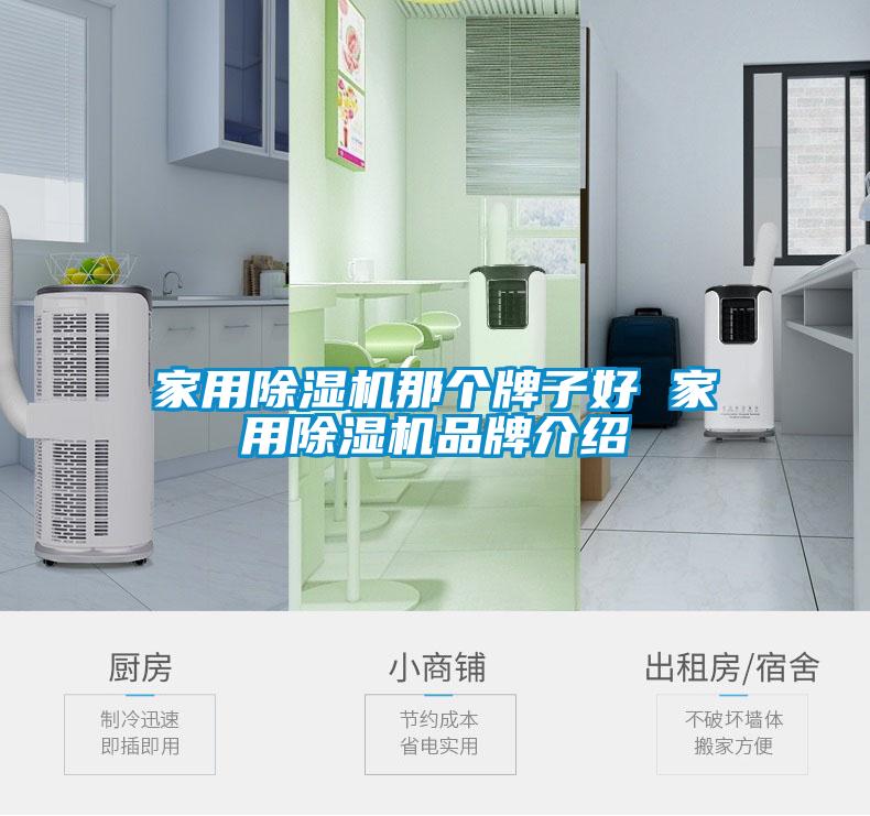 家用除濕機那個(gè)牌子好 家用除濕機品牌介紹