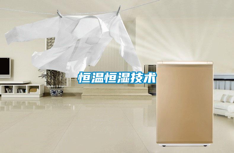 恒溫恒濕技術(shù)