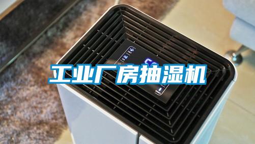 工業(yè)廠(chǎng)房抽濕機