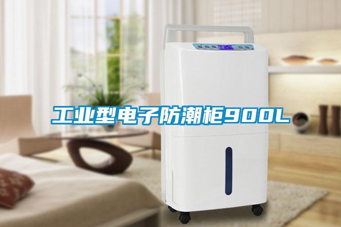 工業(yè)型電子防潮柜900L