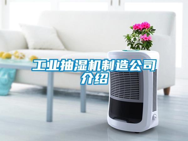 工業(yè)抽濕機制造公司介紹